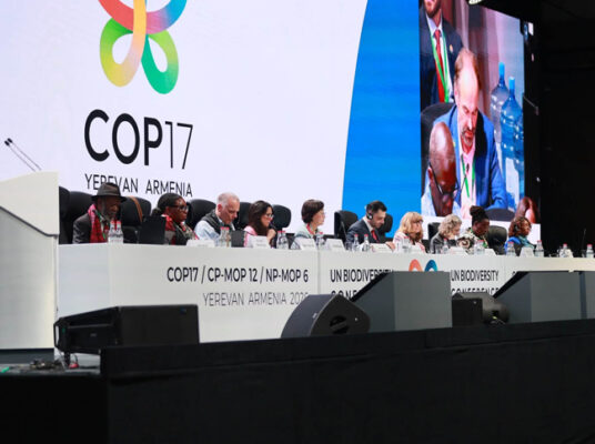 COP17-ում հաստատվել է բնիկ ժողովրդների և տեղական համայնքների հարցերով օժանդակ մարմնի գործունեության կարգը